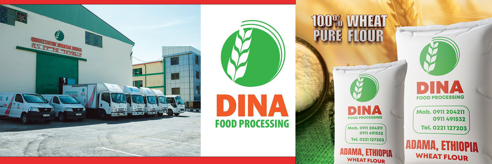 DINA