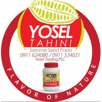 YOSEL TRADING P.L.C